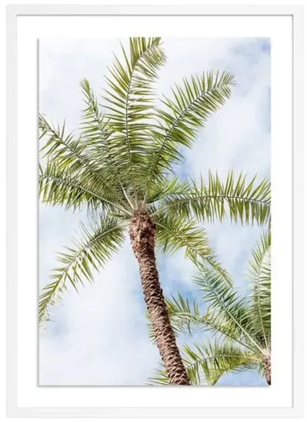 Palm Beach Palms - Palm Beach - Florida Photograph by Carly Tabak - White