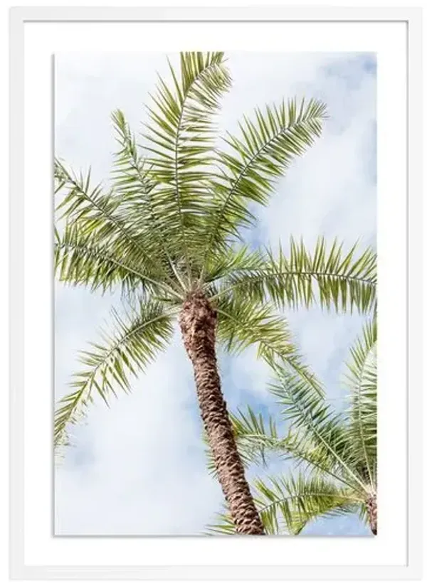 Palm Beach Palms - Palm Beach - Florida Photograph by Carly Tabak - White