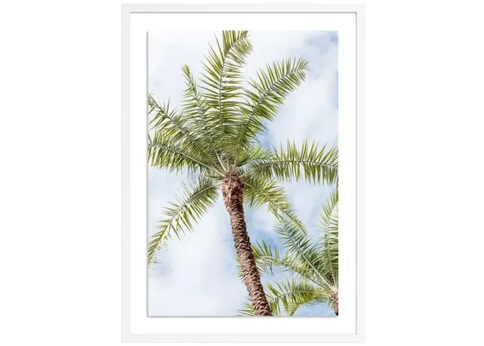 Palm Beach Palms - Palm Beach - Florida by Carly Tabak - White