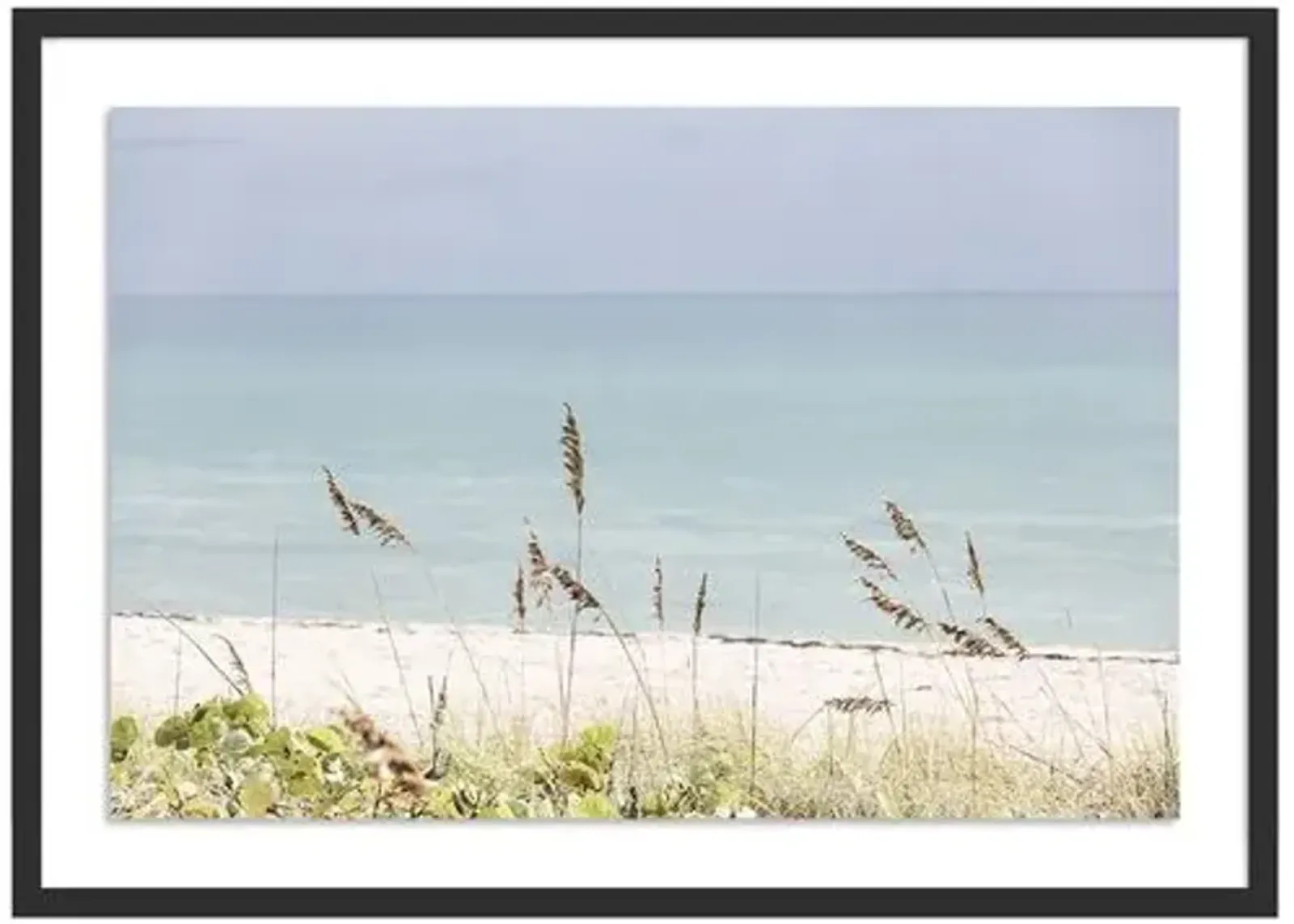 Palm Beach Wild Grass - Palm Beach - Florida by Carly Tabak - Black