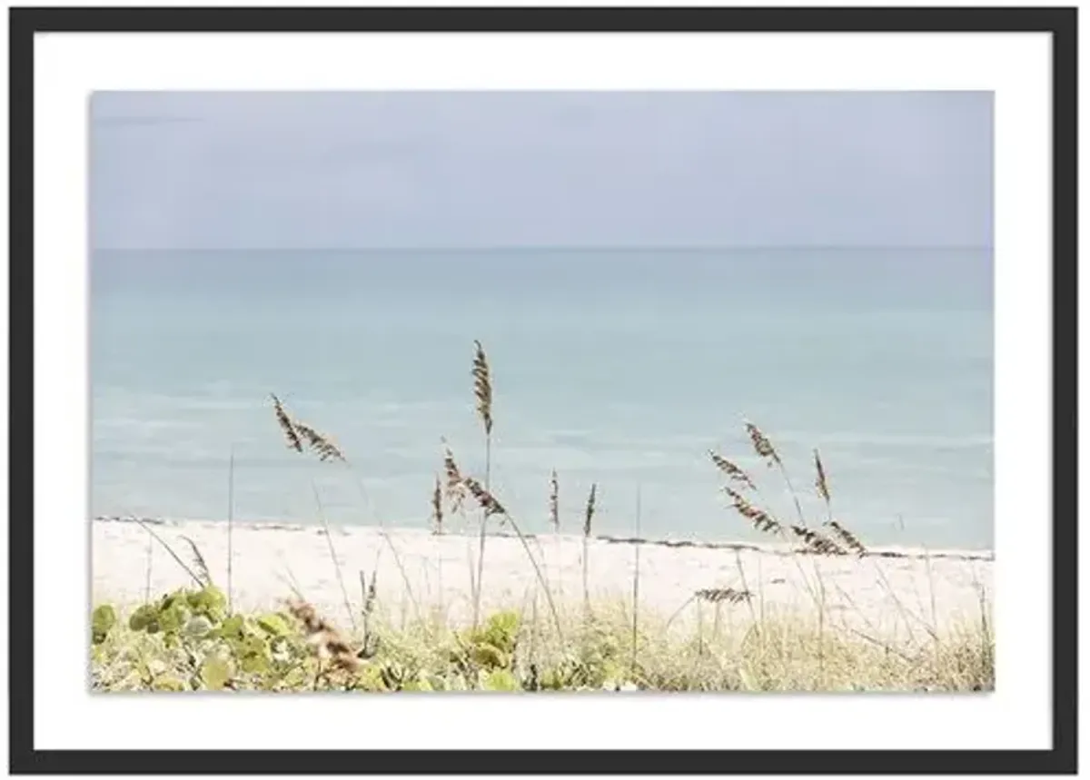 Palm Beach Wild Grass - Palm Beach - Florida by Carly Tabak - Black