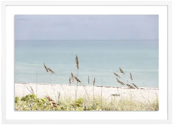 Palm Beach Wild Grass - Palm Beach, Florida Photograph by Carly Tabak