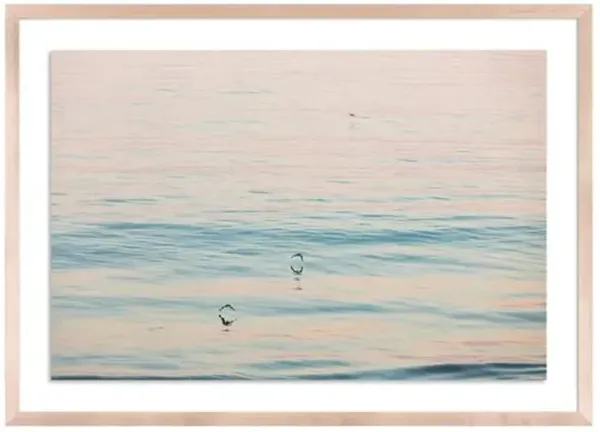 Peach Glow - Santa Barbara - California Photograph by Carly Tabak - Clear