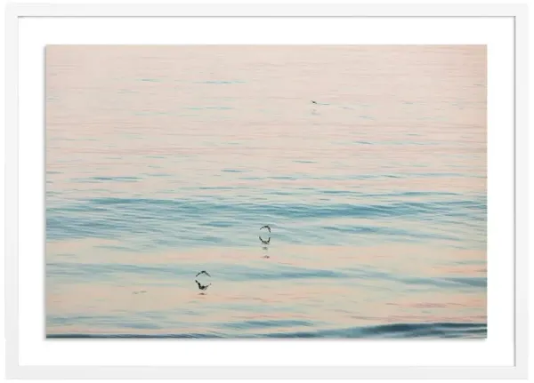 Peach Glow - Santa Barbara, California Photograph by Carly Tabak