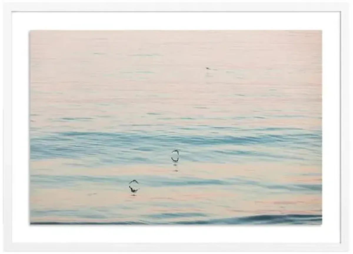 Peach Glow - Santa Barbara - California Photograph by Carly Tabak - White