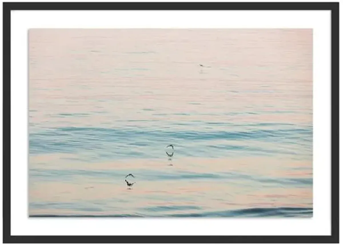 Peach Glow - Santa Barbara - California Photograph by Carly Tabak - Black