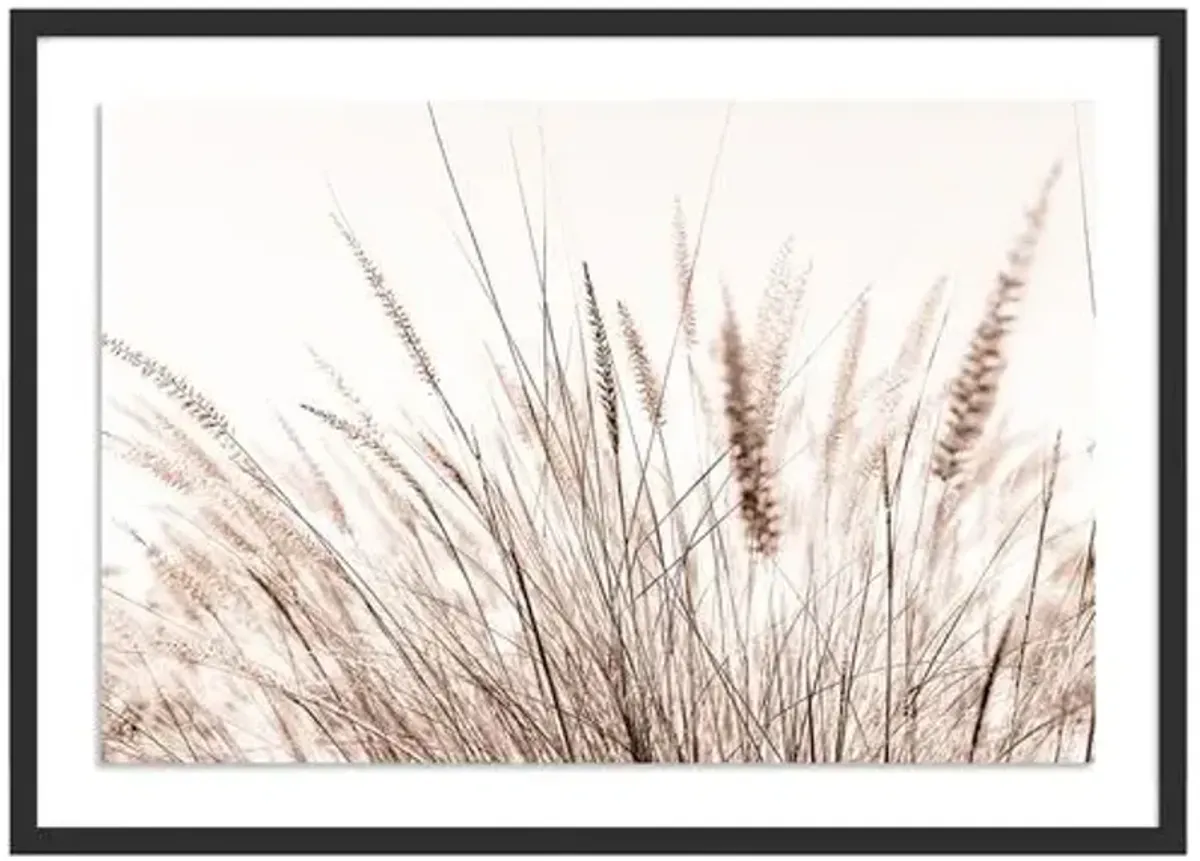 Summer Breeze - Baja - California Photograph by Carly Tabak - Black