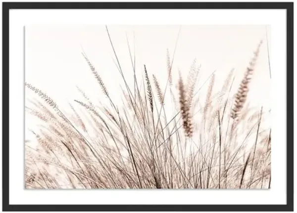 Summer Breeze - Baja - California Photograph by Carly Tabak - Black