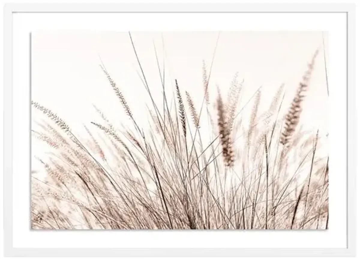 Summer Breeze - Baja - California Photograph by Carly Tabak - White