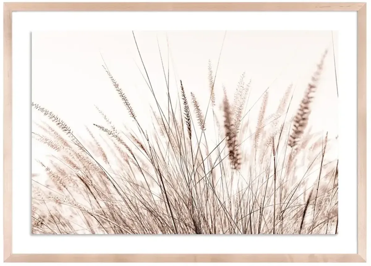 Summer Breeze - Baja, California Photograph by Carly Tabak