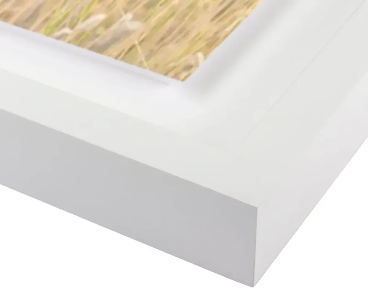 Summer Grass - Mendocino, California Photograph by Carly Tabak