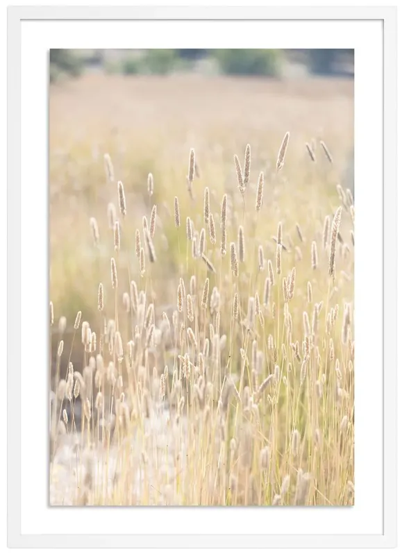 Summer Grass - Mendocino, California Photograph by Carly Tabak