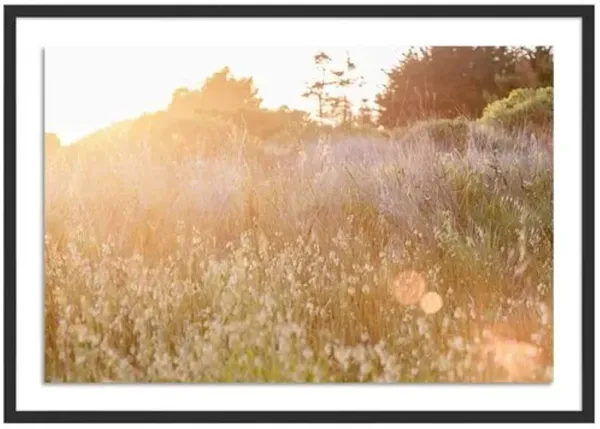 Sun Kissed - Sea Ranch - California Photograph by Carly Tabak - Black