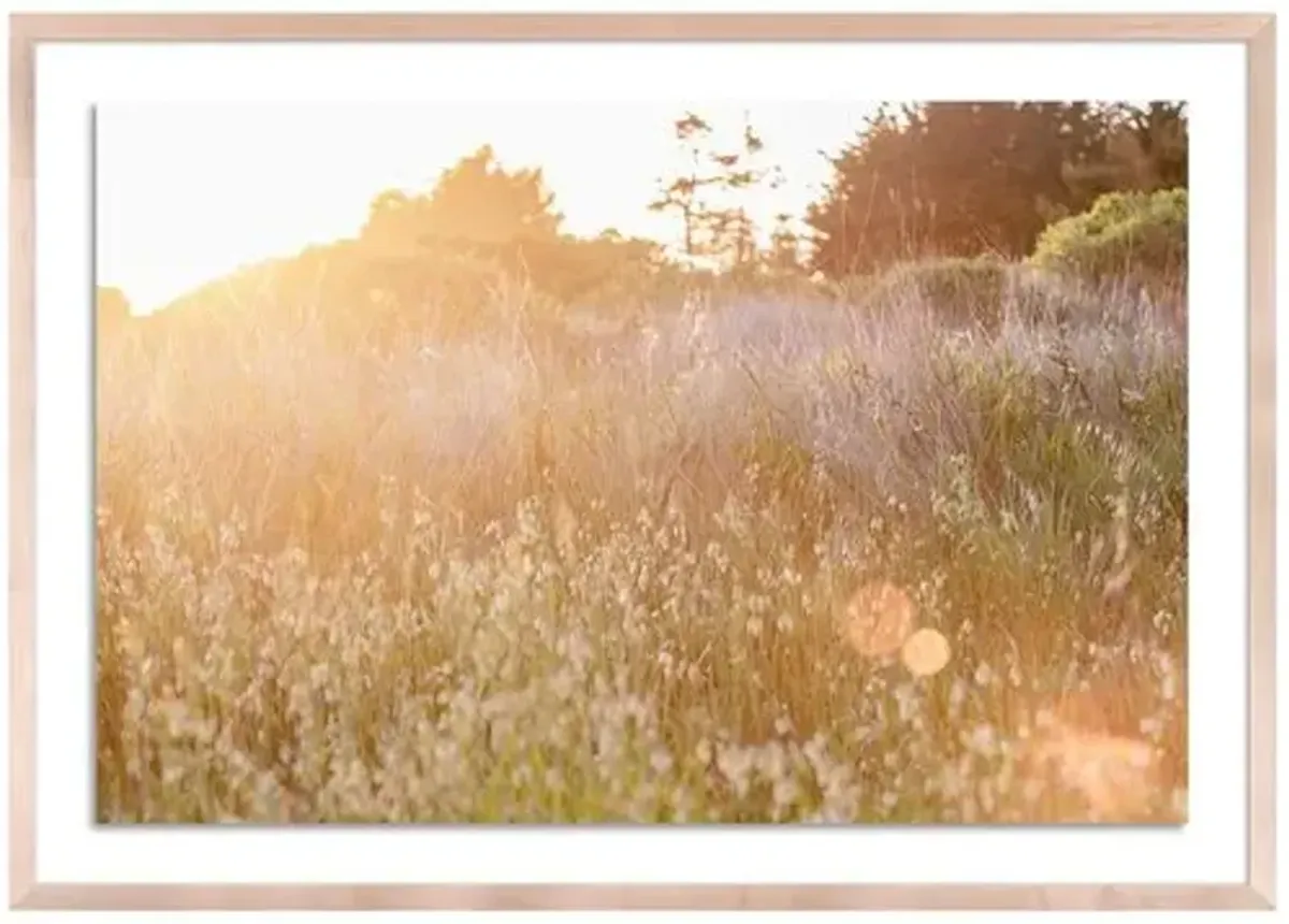 Sun Kissed - Sea Ranch - California Photograph by Carly Tabak - Clear