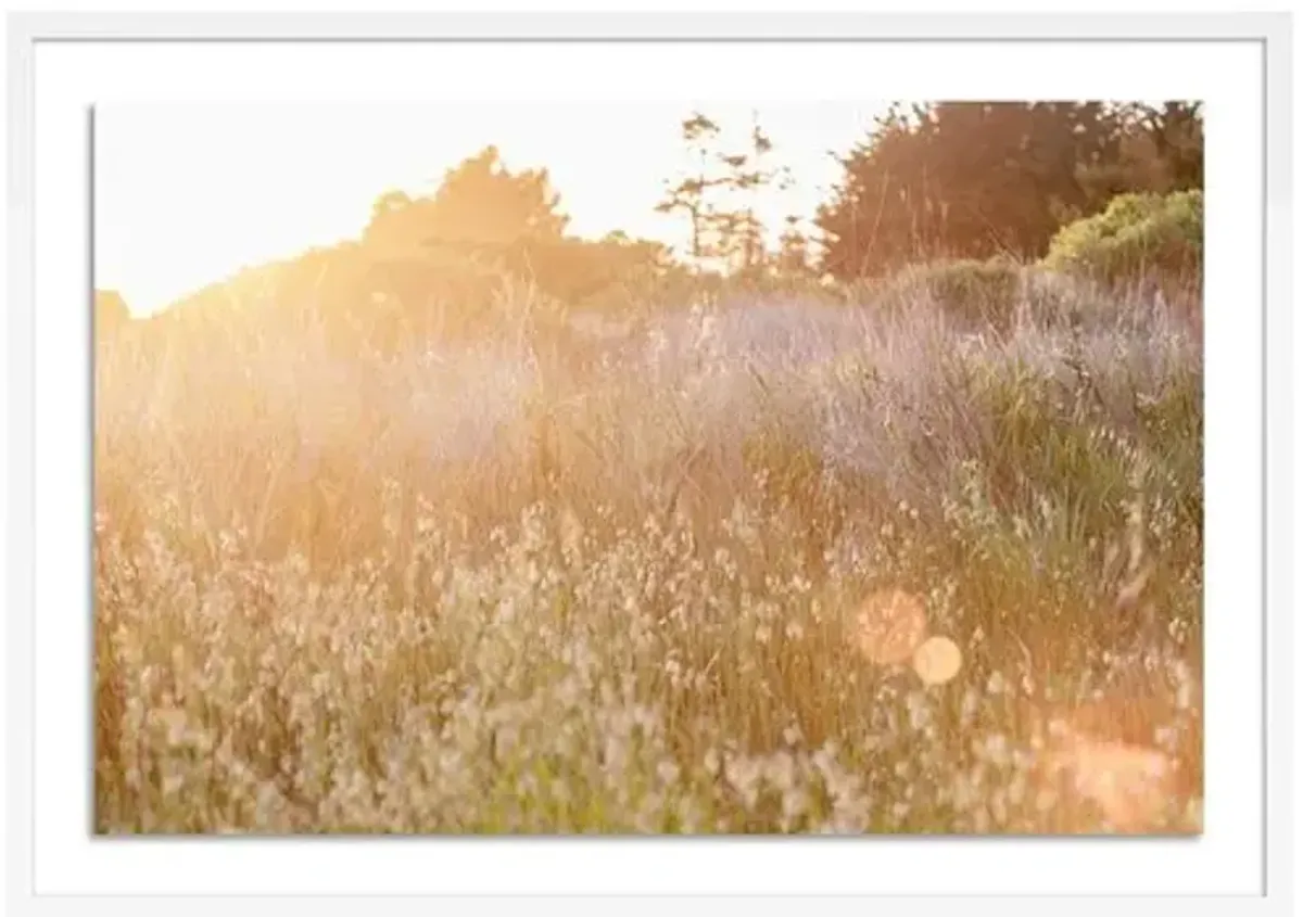 Sun Kissed - Sea Ranch - California by Carly Tabak - White