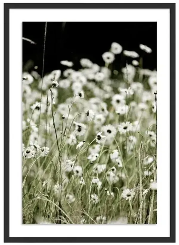 Wildflowers - Mendocino - California by Carly Tabak - Black