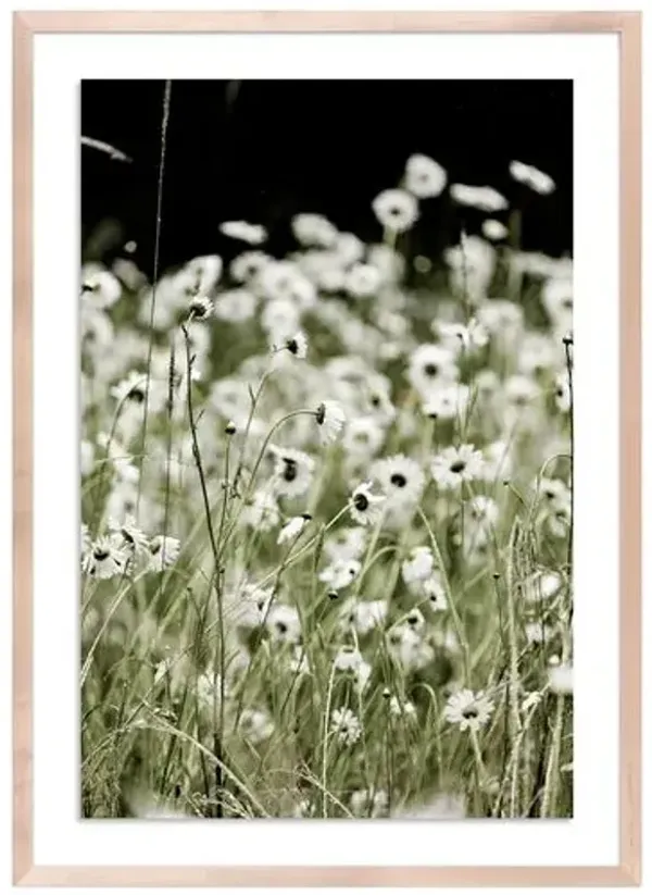 Wildflowers - Mendocino - California Photograph by Carly Tabak - Clear
