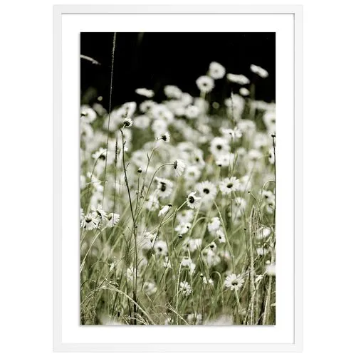 Wildflowers - Mendocino - California by Carly Tabak - White