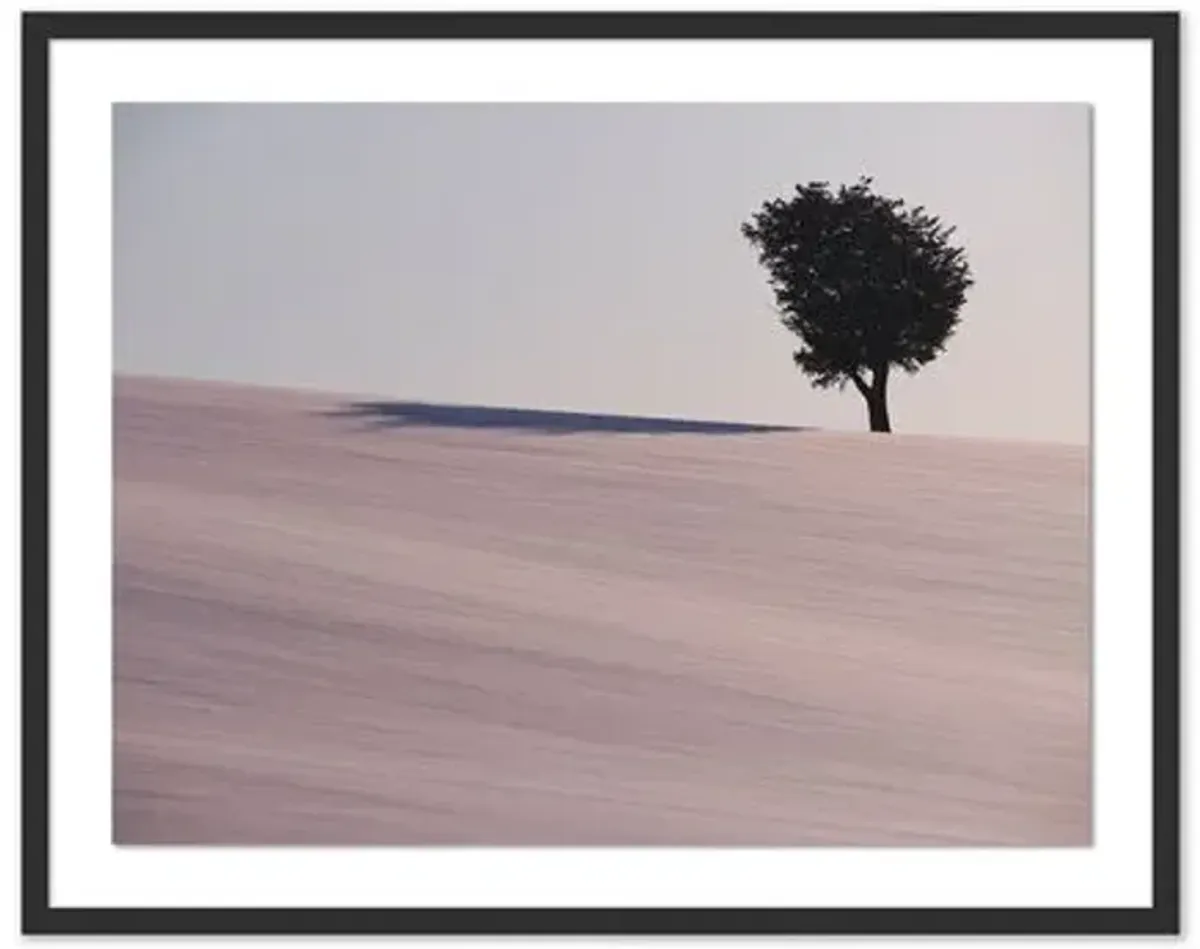 Pascal Shirley - Hokkaido Tree - Black