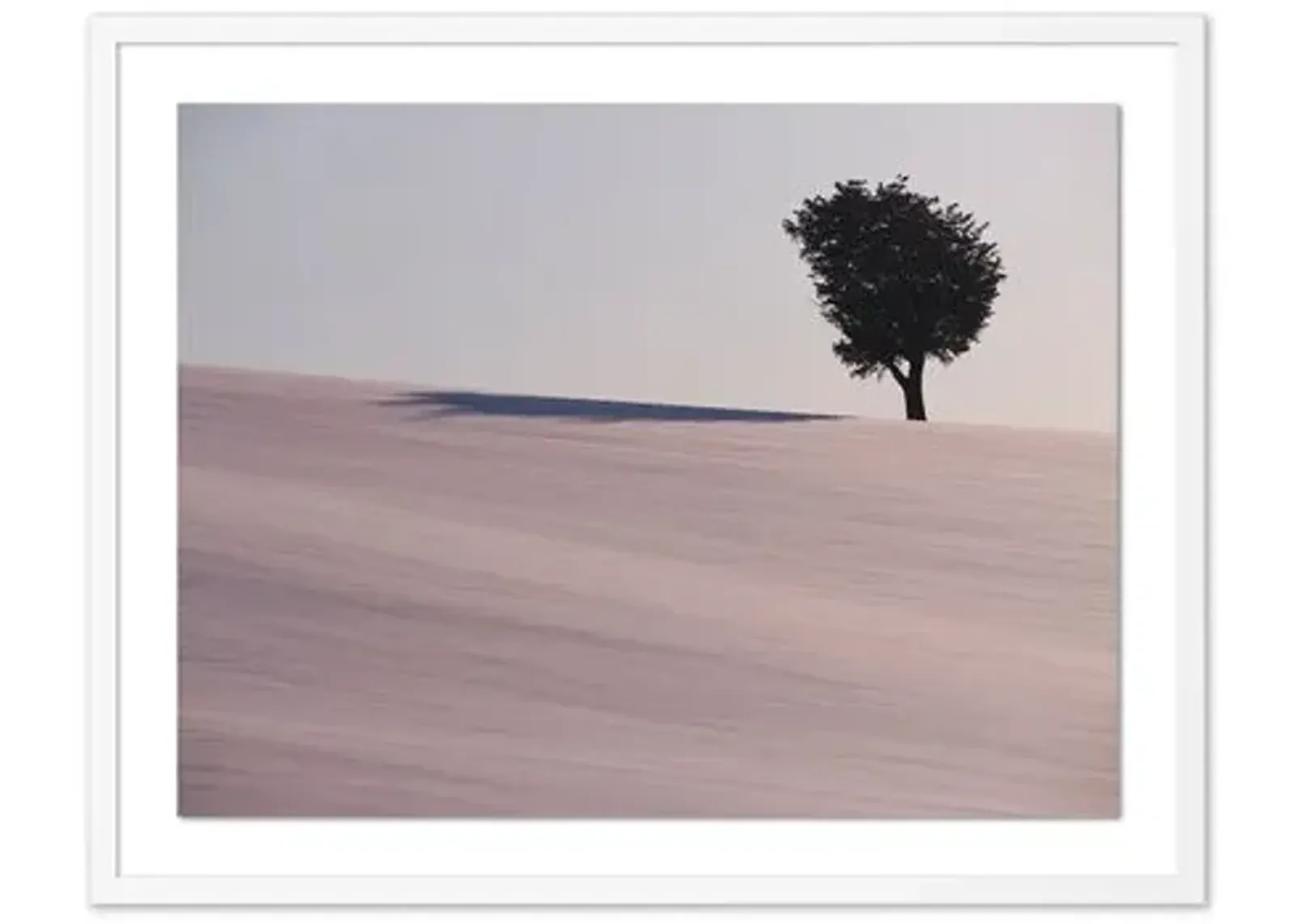 Pascal Shirley - Hokkaido Tree - White