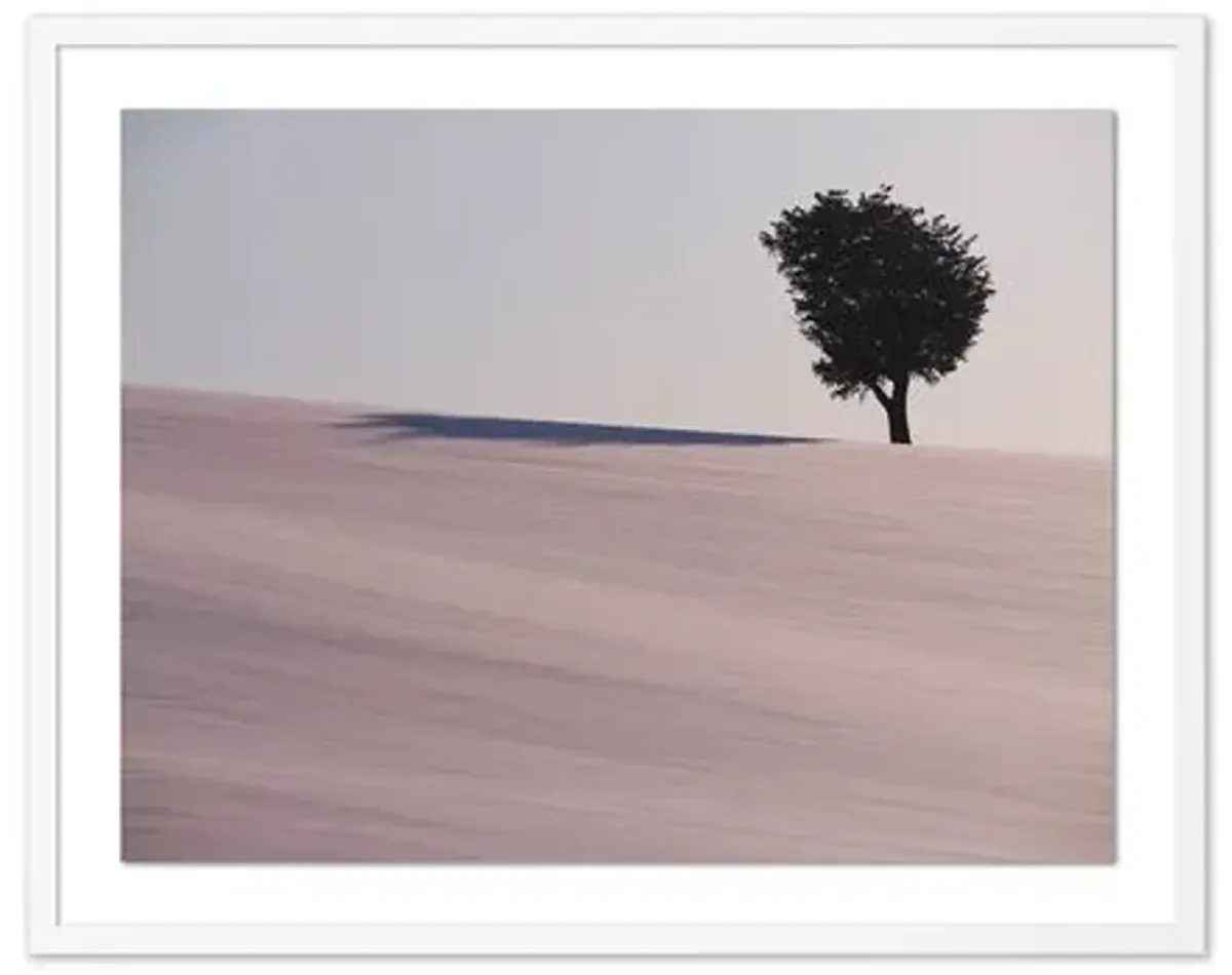 Pascal Shirley - Hokkaido Tree - White