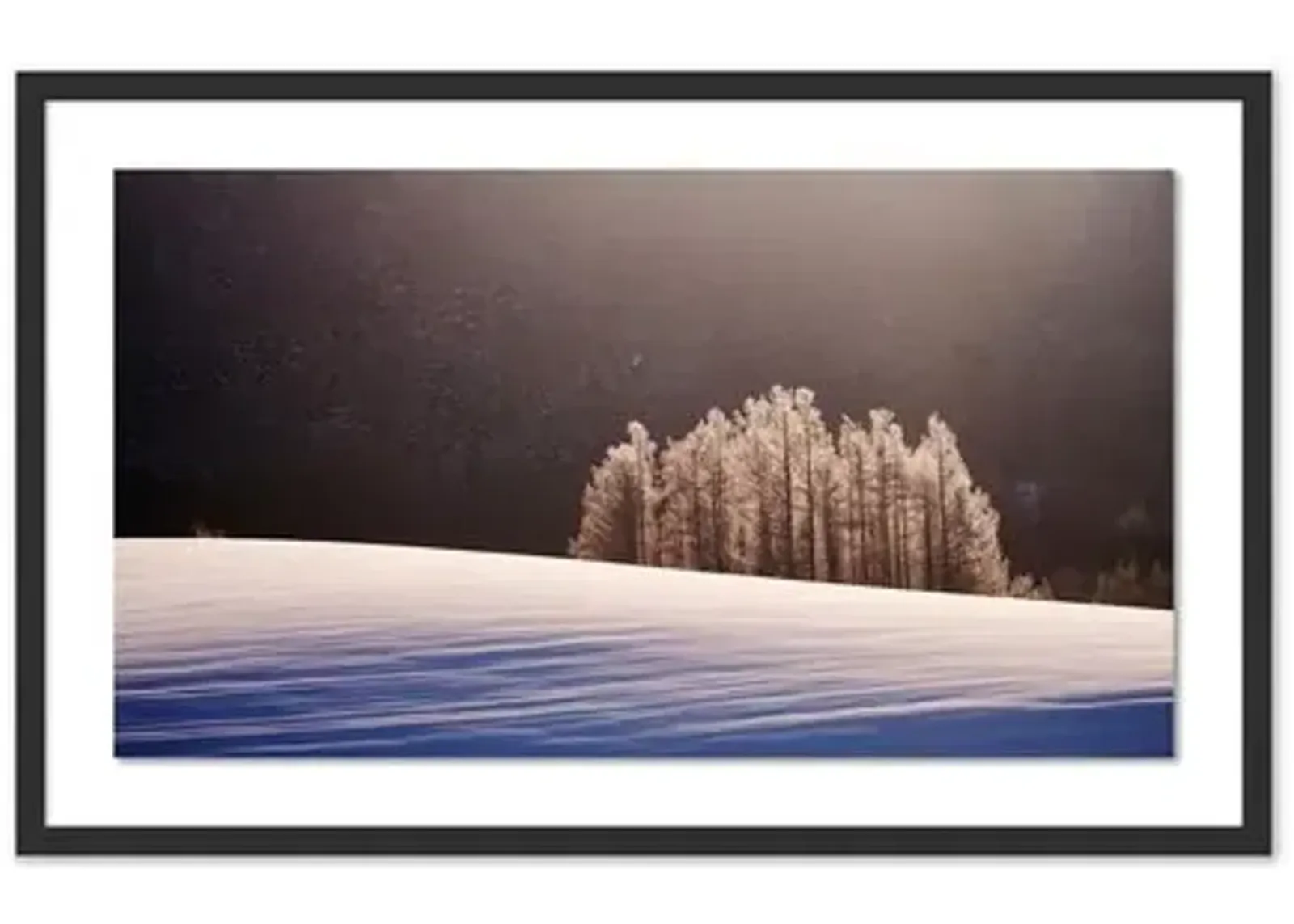 Pascal Shirley - Hokkaido Trees Panorama - Black