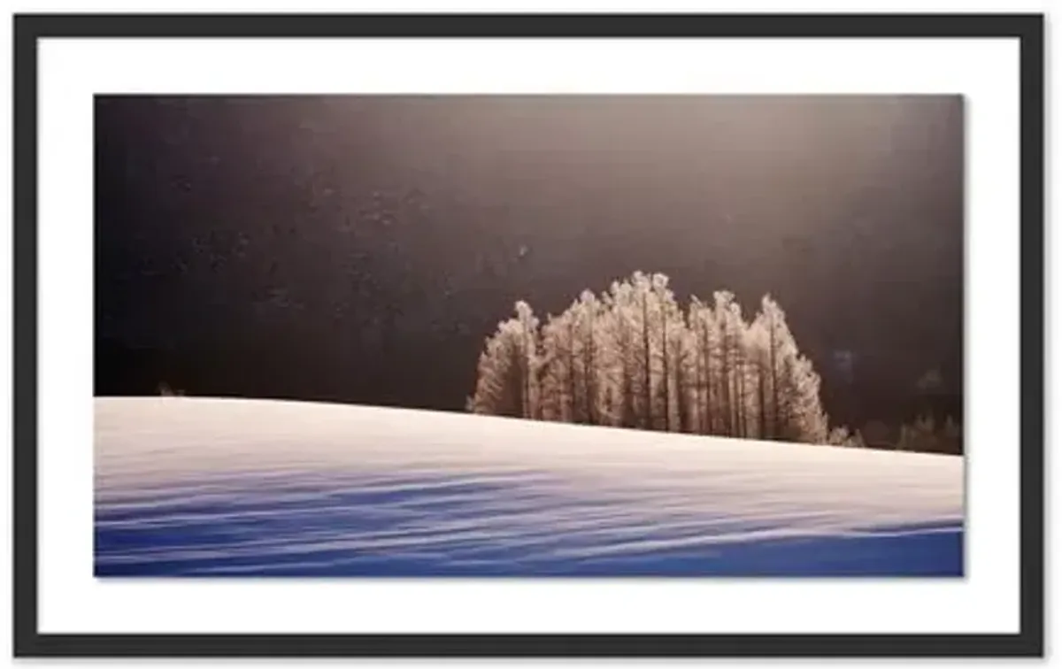 Pascal Shirley - Hokkaido Trees Panorama - Black