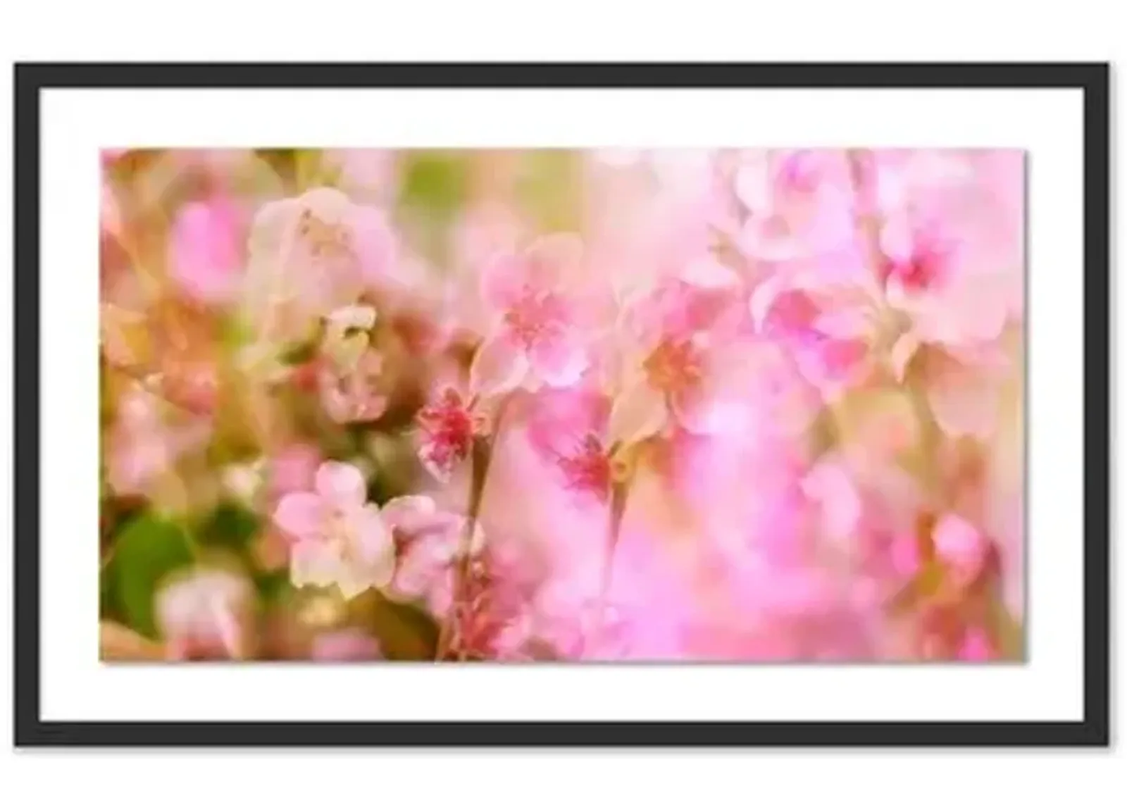 Pascal Shirley - Peach Blossoms - Black