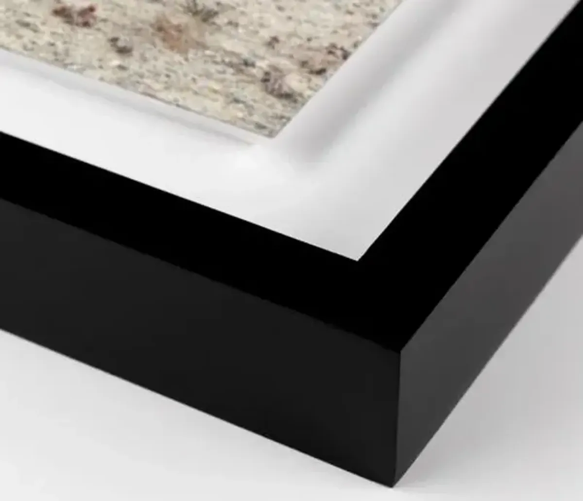 Pascal Shirley - Wild Burros Death Valley - Black