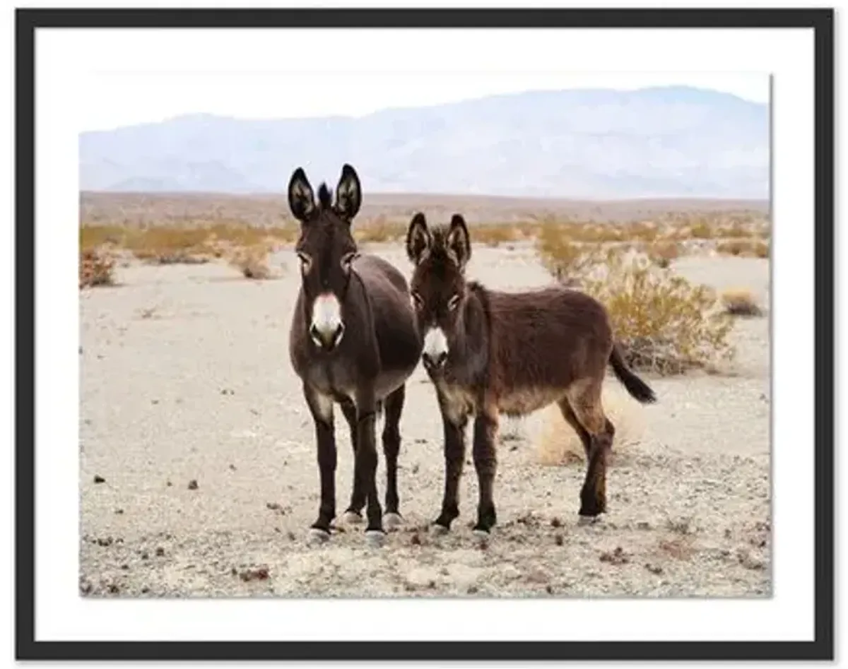 Pascal Shirley - Wild Burros Death Valley - Black