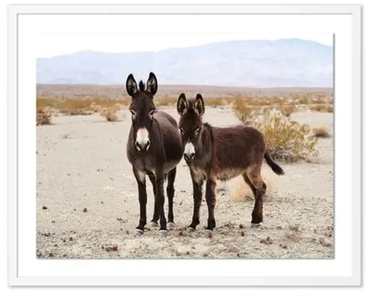 Pascal Shirley - Wild Burros Death Valley - White