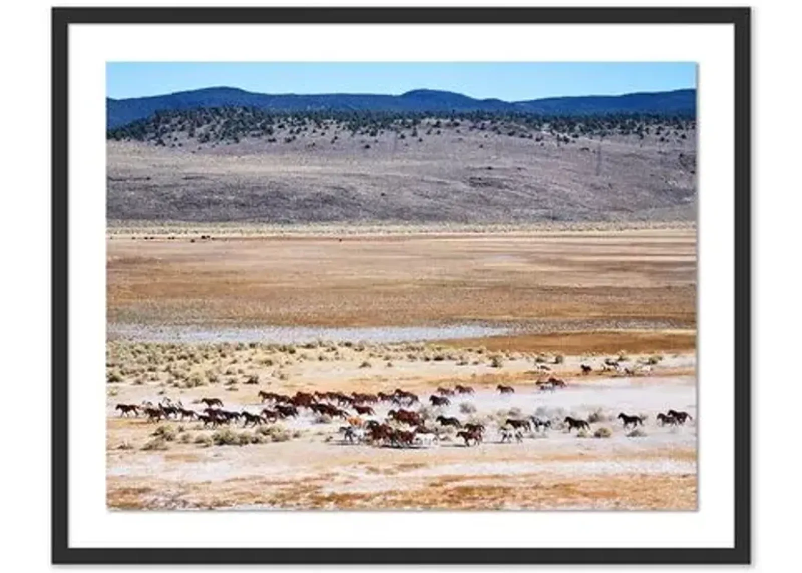 Pascal Shirley - Wild Mustangs California - Black