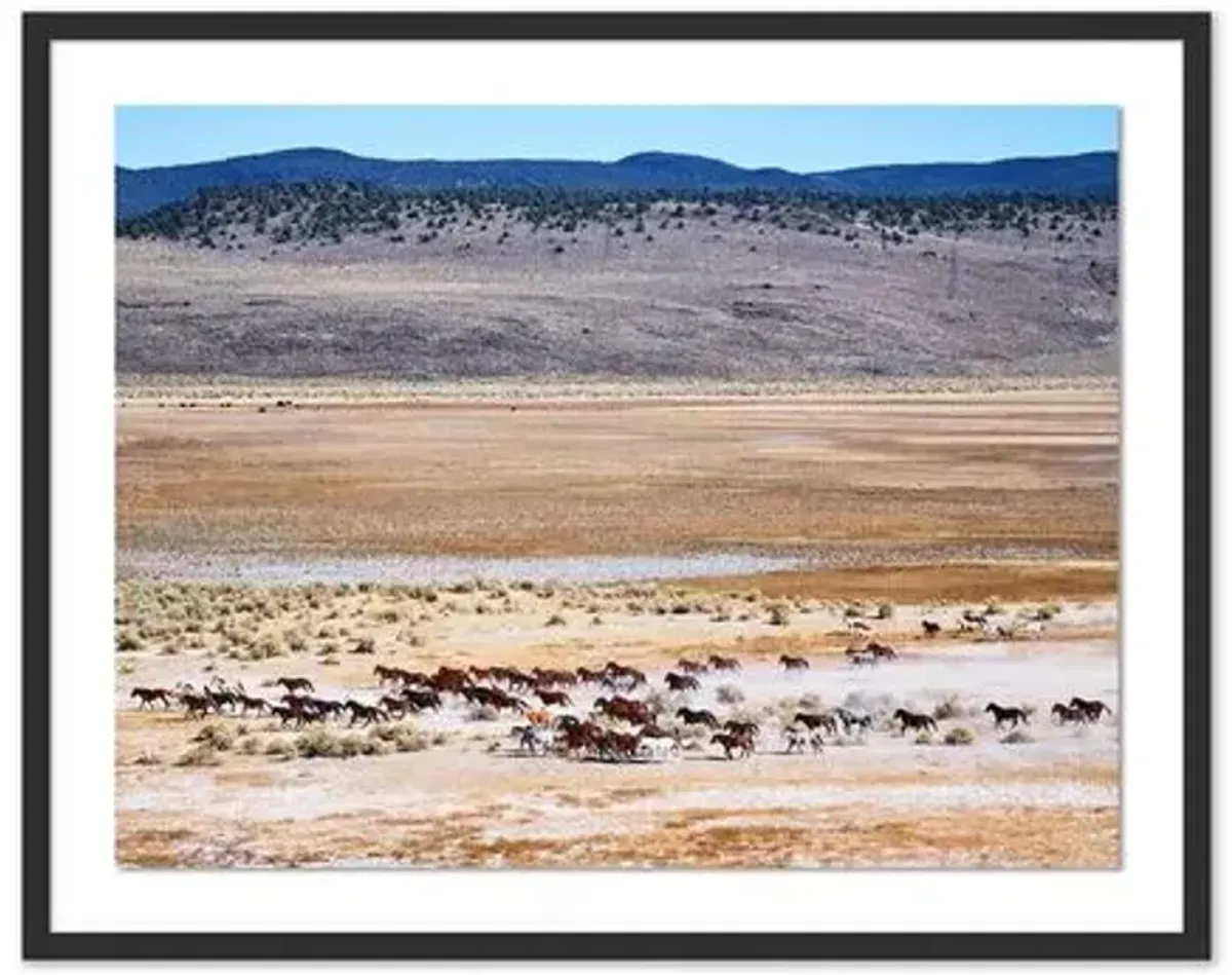 Pascal Shirley - Wild Mustangs California - Black