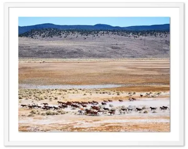 Pascal Shirley - Wild Mustangs California - White