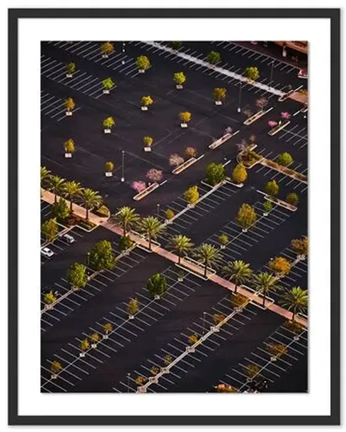 Pascal Shirley - LA Parking Lot 2020 - Black