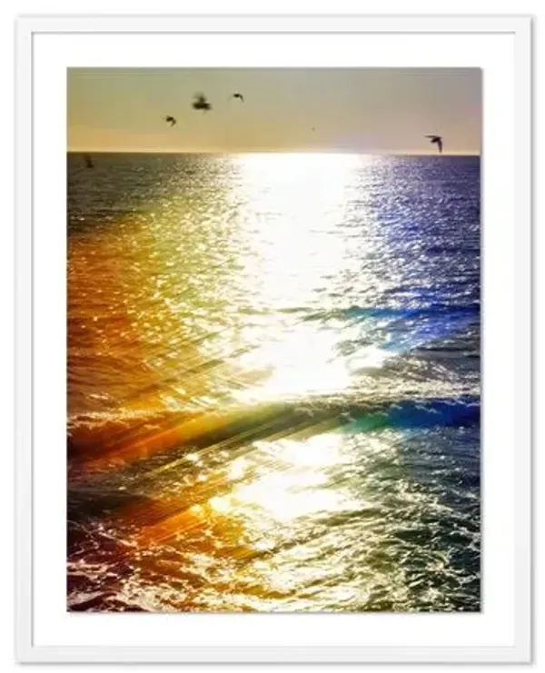 Pascal Shirley - Ocean Rainbow Birds - White