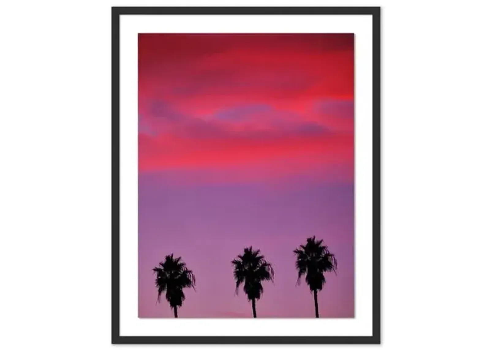 Pascal Shirley - Palm Tree Sunset LA - Black