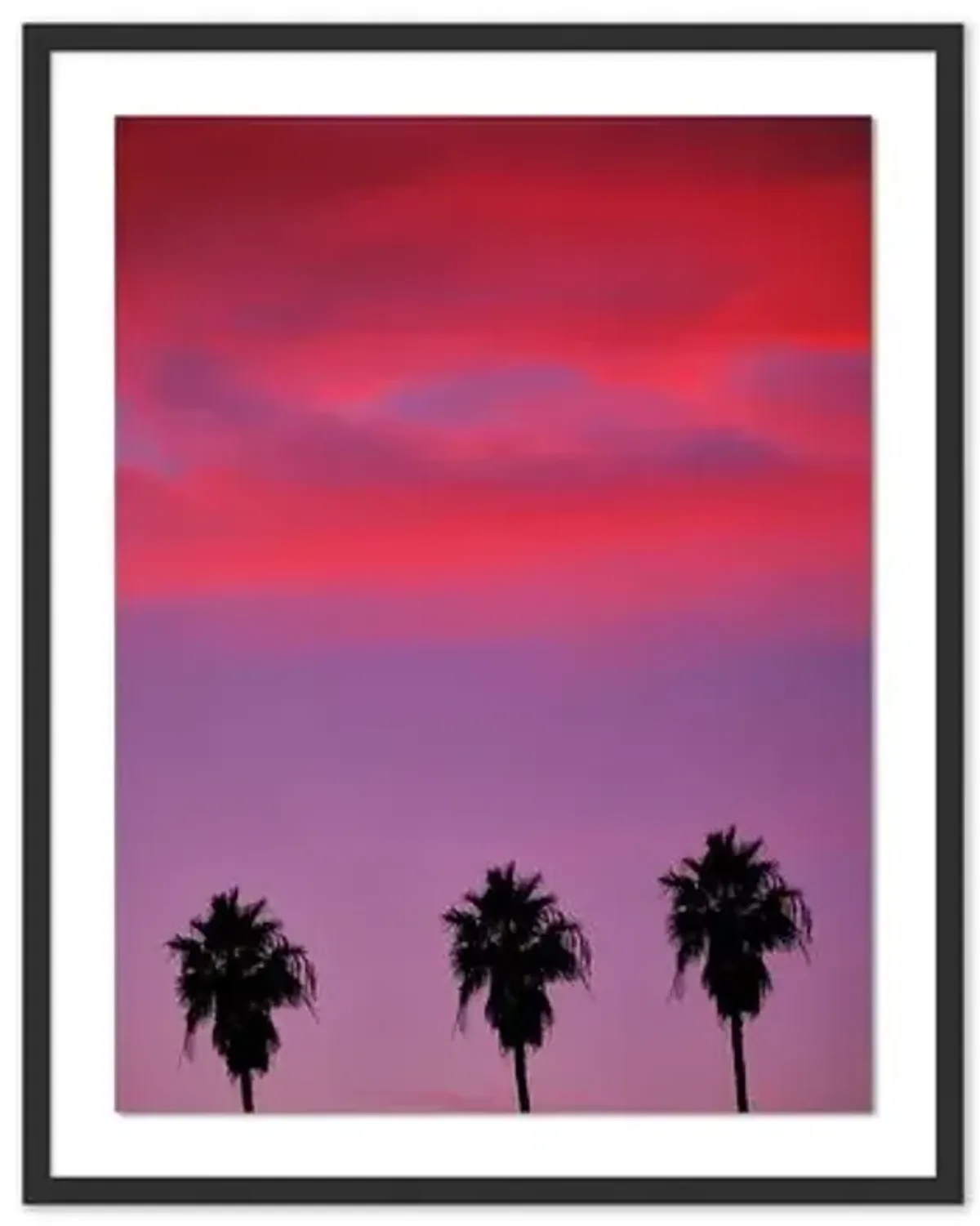 Pascal Shirley - Palm Tree Sunset LA - Black