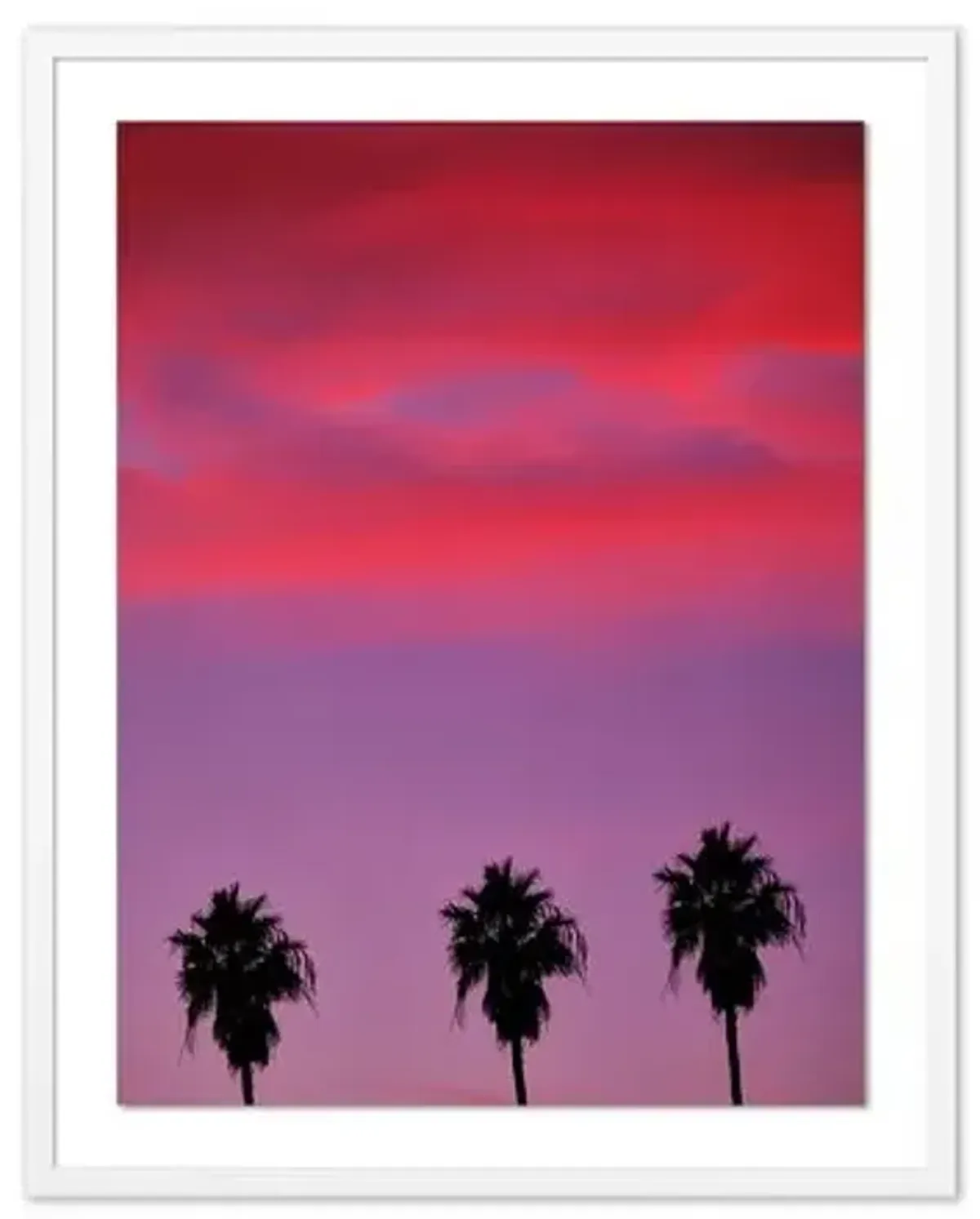 Pascal Shirley - Palm Tree Sunset LA - White