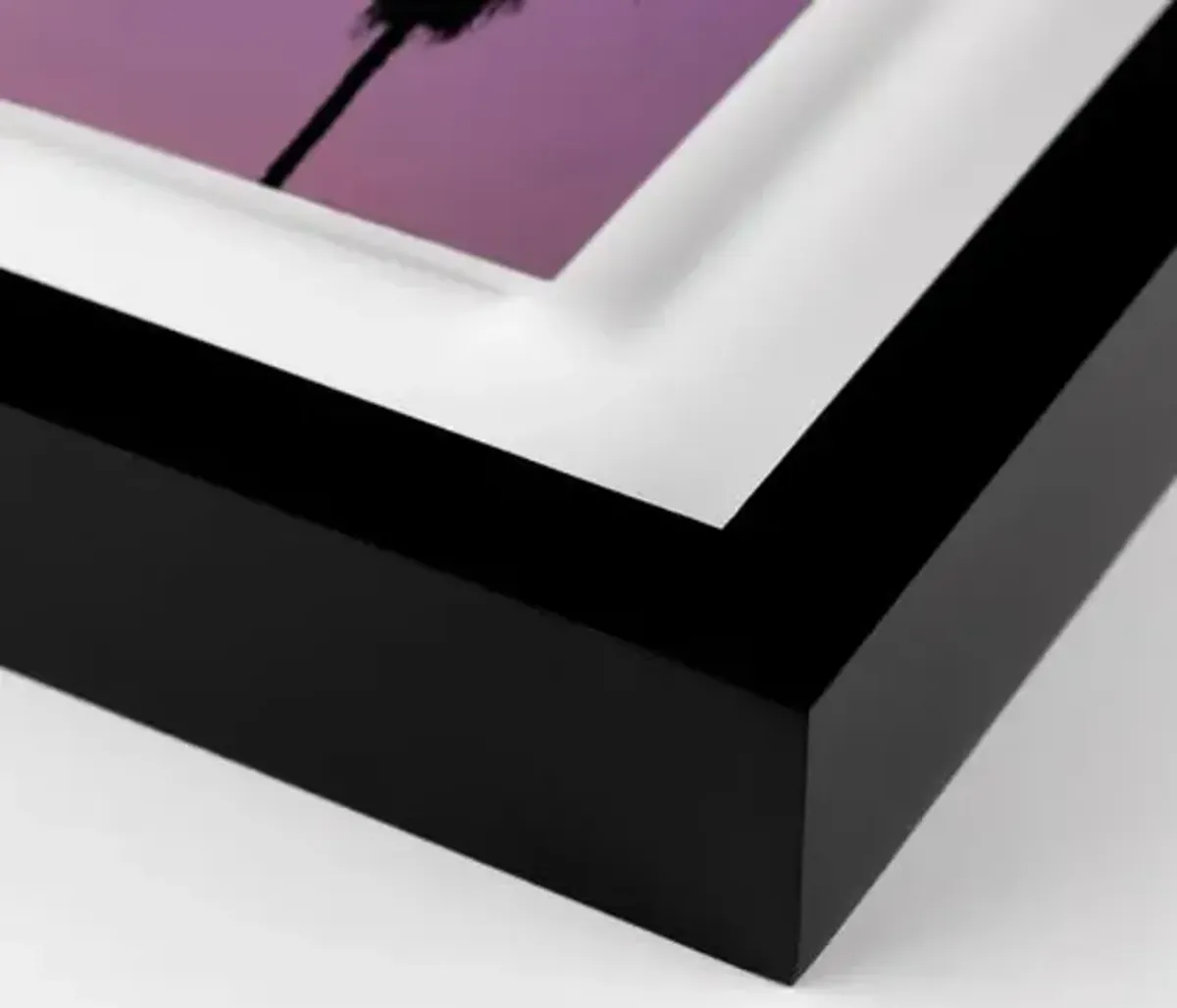 Pascal Shirley - Palm Tree Sunset LA - Black