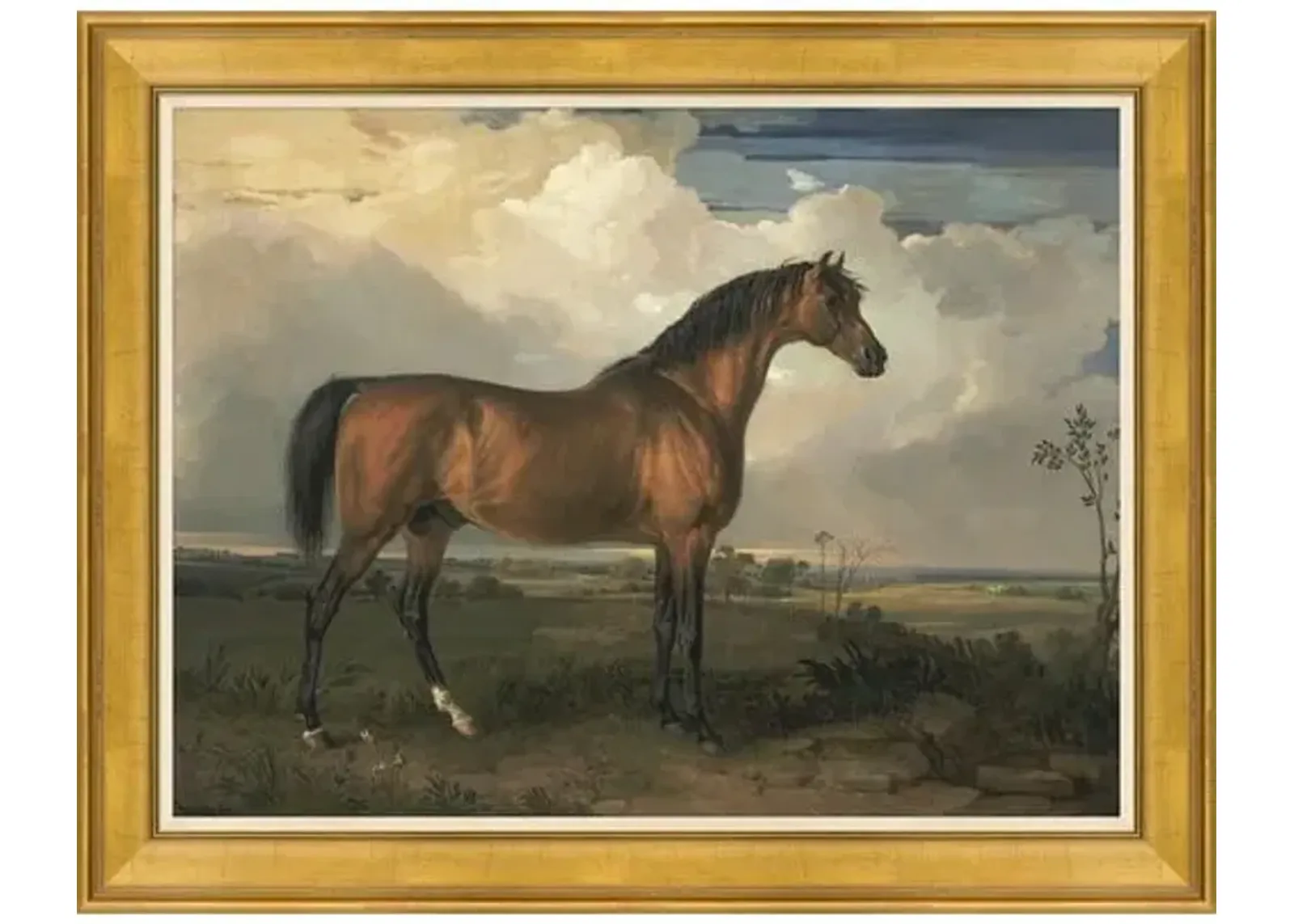 Champion Horse I - Brown