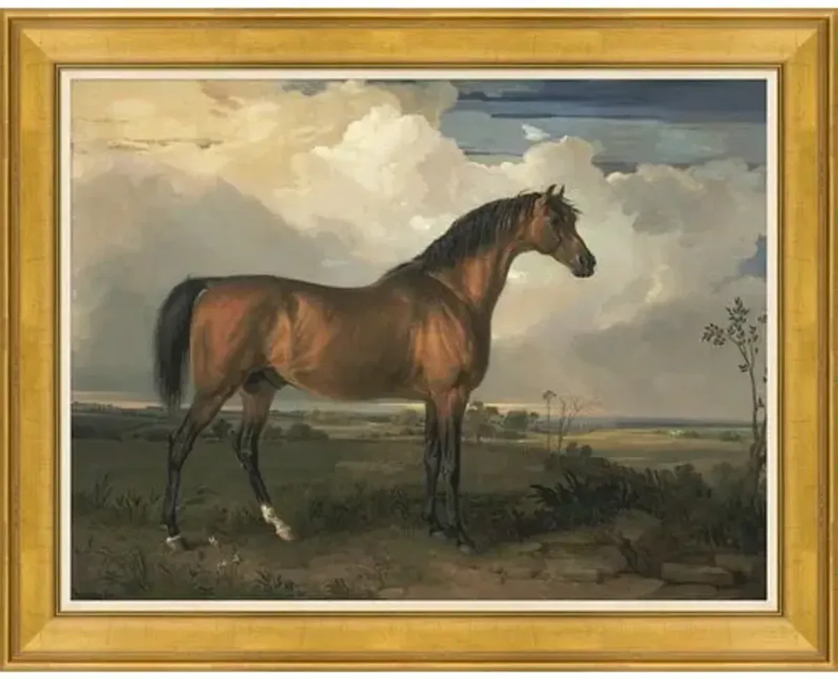 Champion Horse I - Brown