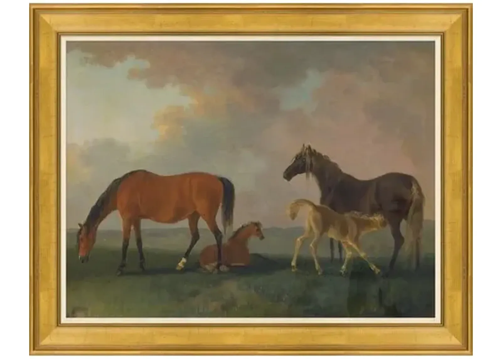 Colt - Mare - & Yearlings - Brown