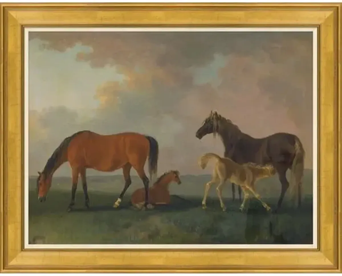 Colt - Mare - & Yearlings - Brown