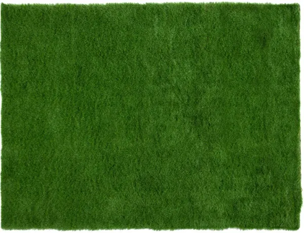 Vista Outdoor Rug, Green