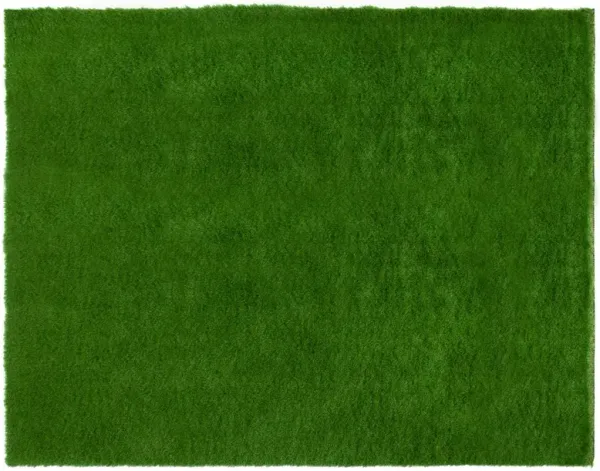 Vista Outdoor Rug, Green
