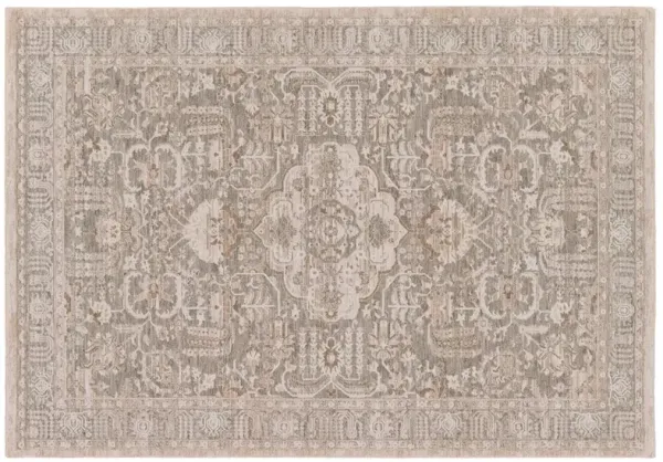  Acair Medallion Beige/Gray Area Rug (8'X10')