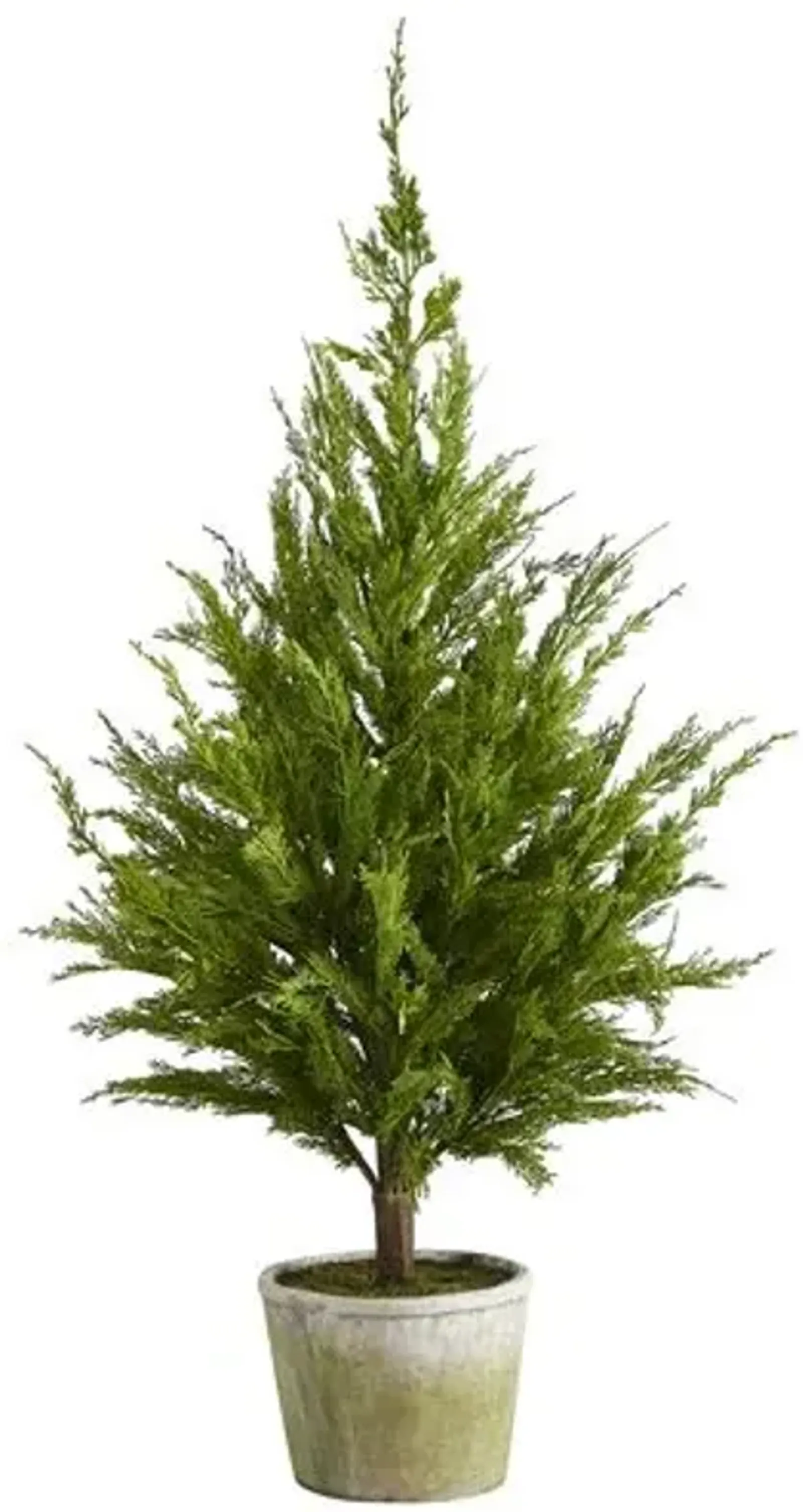 Cedar Christmas Tree 3.5' - Faux - Green