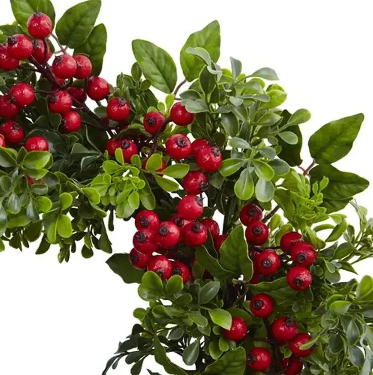 24in. Berry Boxwood Wreath - Red