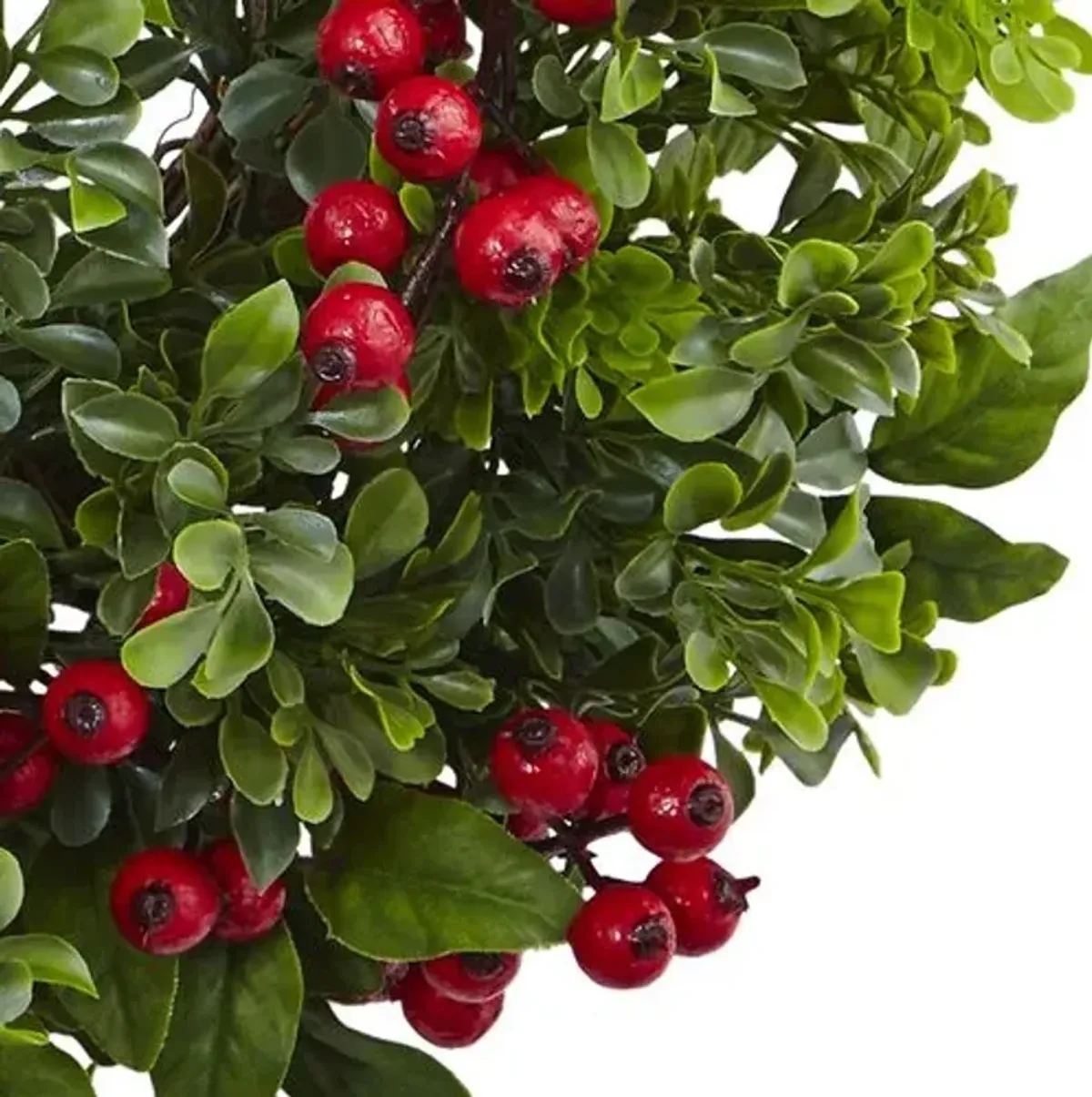 24in. Berry Boxwood Wreath - Red